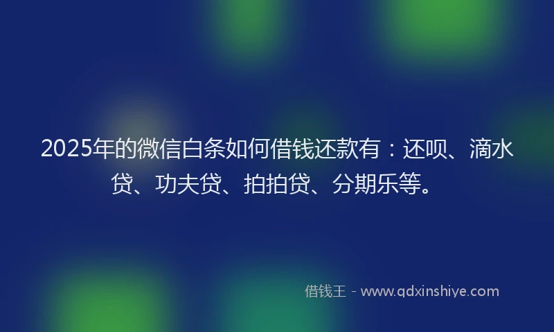 2025年的微信白条如何借钱还款有：还呗、滴水贷、功夫贷、拍拍贷、分期乐等。