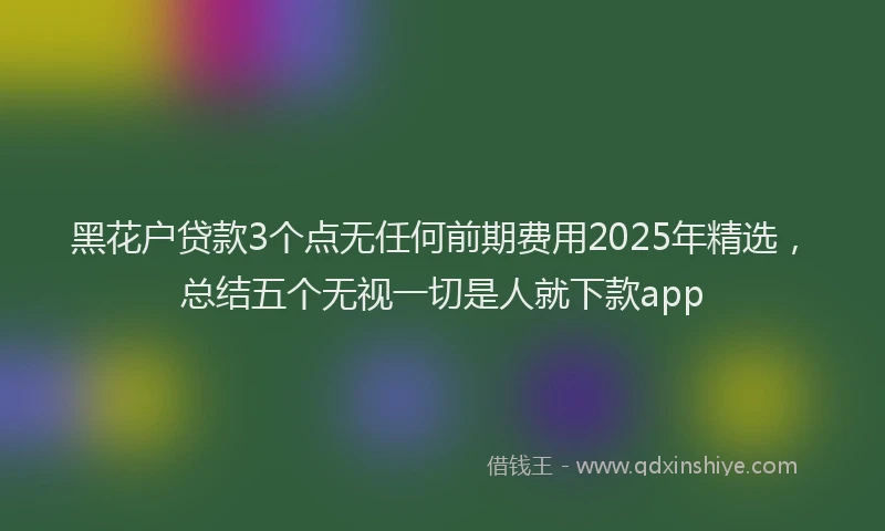 黑花户贷款3个点无任何前期费用2025年精选，总结五个无视一切是人就下款app