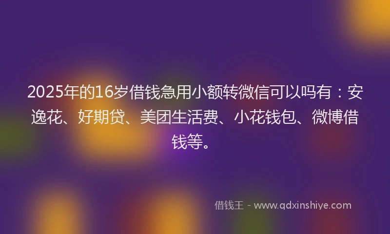2025年的16岁借钱急用小额转微信可以吗有：安逸花、好期贷、美团生活费、小花钱包、微博借钱等。