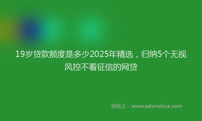 19岁贷款额度是多少2025年精选，归纳5个无视风控不看征信的网贷