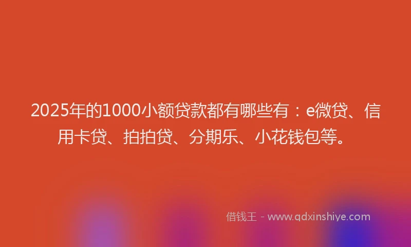 2025年的1000小额贷款都有哪些有：e微贷、信用卡贷、拍拍贷、分期乐、小花钱包等。