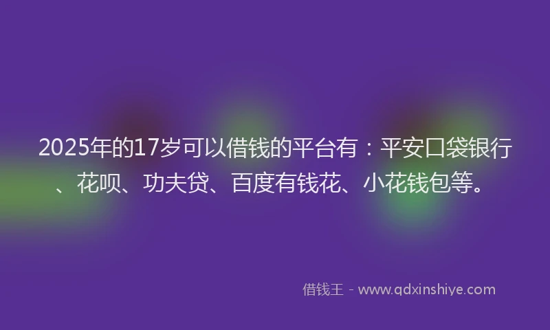 2025年的17岁可以借钱的平台有：平安口袋银行、花呗、功夫贷、百度有钱花、小花钱包等。