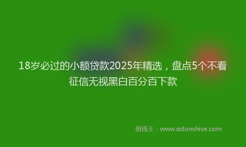 18岁必过的小额贷款2025年精选，盘点5个不看征信无视黑白百分百下款