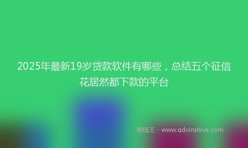 2025年最新19岁贷款软件有哪些，总结五个征信花居然都下款的平台