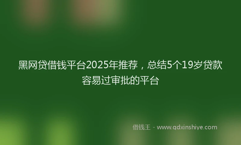 黑网贷借钱平台2025年推荐，总结5个19岁贷款容易过审批的平台