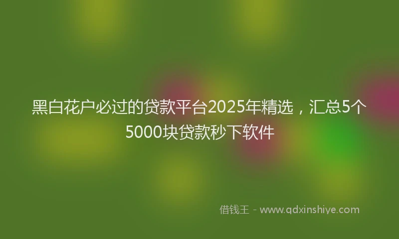 黑白花户必过的贷款平台2025年精选，汇总5个5000块贷款秒下软件