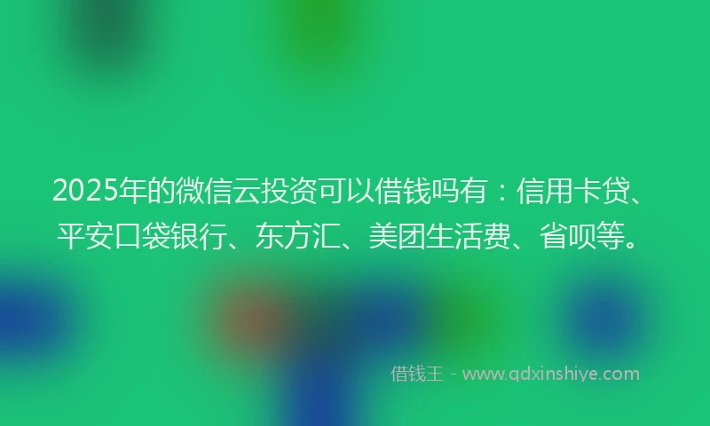 2025年的微信云投资可以借钱吗有：信用卡贷、平安口袋银行、东方汇、美团生活费、省呗等。