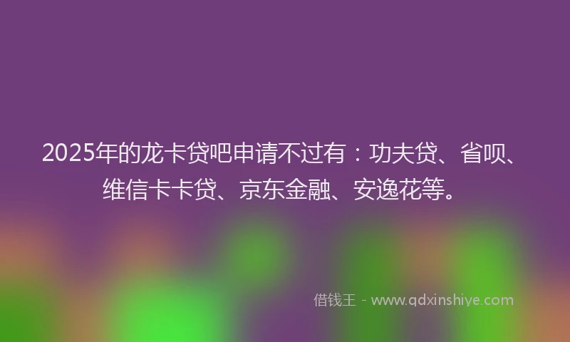2025年的龙卡贷吧申请不过有：功夫贷、省呗、维信卡卡贷、京东金融、安逸花等。