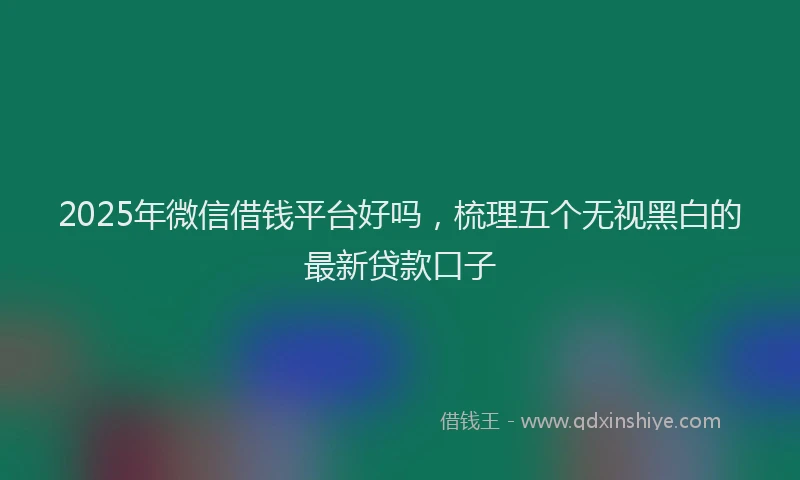 2025年微信借钱平台好吗，梳理五个无视黑白的最新贷款口子