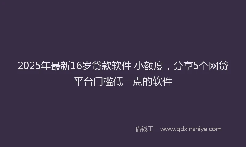 2025年最新16岁贷款软件 小额度，分享5个网贷平台门槛低一点的软件