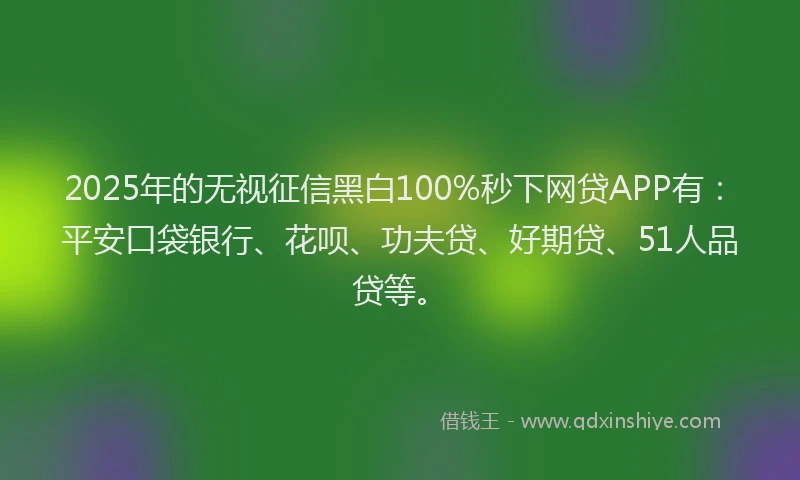 2025年的无视征信黑白100%秒下网贷APP有：平安口袋银行、花呗、功夫贷、好期贷、51人品贷等。