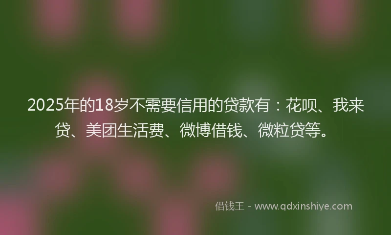 2025年的18岁不需要信用的贷款有：花呗、我来贷、美团生活费、微博借钱、微粒贷等。