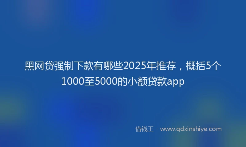 黑网贷强制下款有哪些2025年推荐，概括5个1000至5000的小额贷款app
