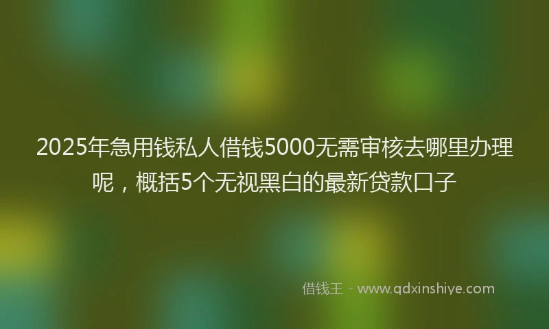 2025年急用钱私人借钱5000无需审核去哪里办理呢，概括5个无视黑白的最新贷款口子