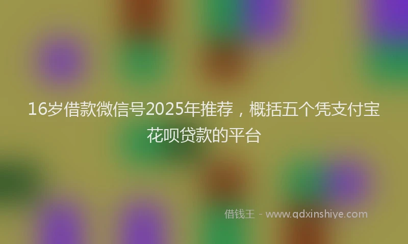 16岁借款微信号2025年推荐，概括五个凭支付宝花呗贷款的平台