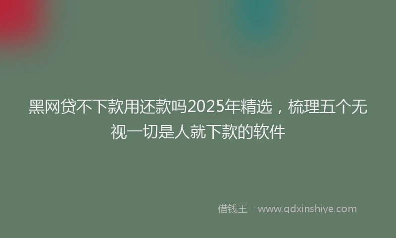 黑网贷不下款用还款吗2025年精选，梳理五个无视一切是人就下款的软件