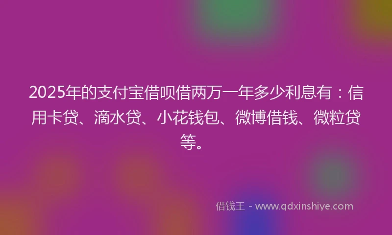 2025年的支付宝借呗借两万一年多少利息有：信用卡贷、滴水贷、小花钱包、微博借钱、微粒贷等。