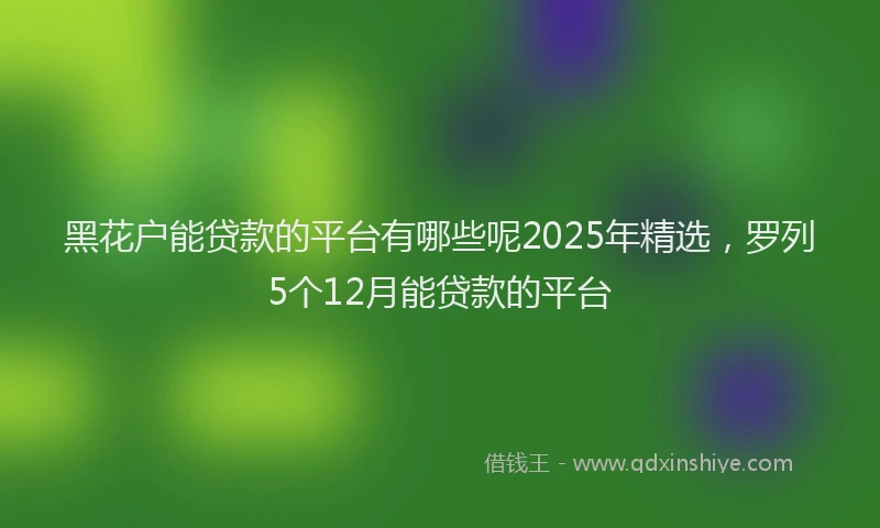 黑花户能贷款的平台有哪些呢2025年精选，罗列5个12月能贷款的平台