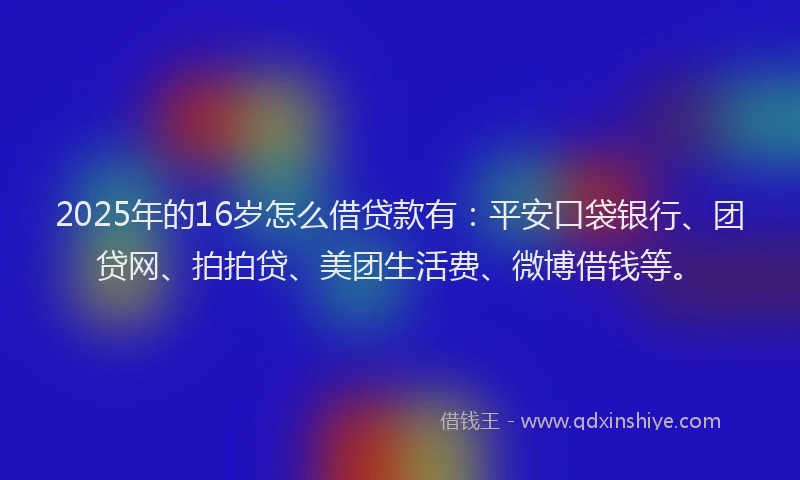 2025年的16岁怎么借贷款有：平安口袋银行、团贷网、拍拍贷、美团生活费、微博借钱等。