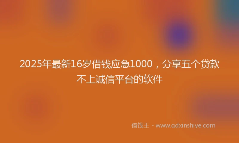 2025年最新16岁借钱应急1000，分享五个贷款不上诚信平台的软件