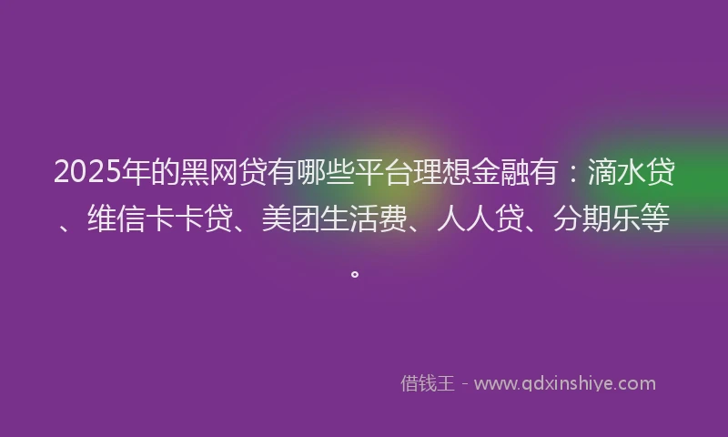2025年的黑网贷有哪些平台理想金融有：滴水贷、维信卡卡贷、美团生活费、人人贷、分期乐等。
