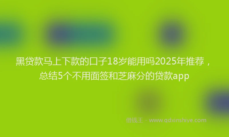 黑贷款马上下款的口子18岁能用吗2025年推荐，总结5个不用面签和芝麻分的贷款app