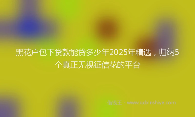 黑花户包下贷款能贷多少年2025年精选，归纳5个真正无视征信花的平台