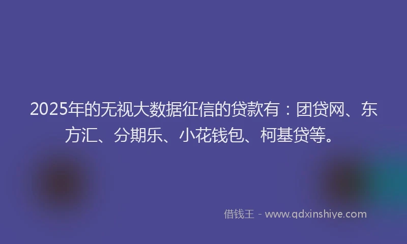 2025年的无视大数据征信的贷款有：团贷网、东方汇、分期乐、小花钱包、柯基贷等。