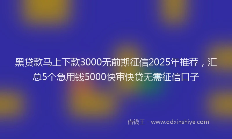 黑贷款马上下款3000无前期征信2025年推荐，汇总5个急用钱5000快审快贷无需征信口子