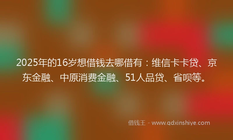 2025年的16岁想借钱去哪借有：维信卡卡贷、京东金融、中原消费金融、51人品贷、省呗等。