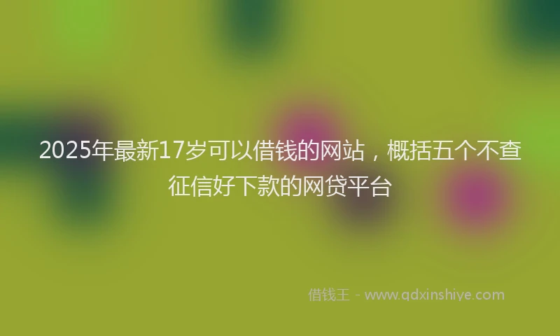 2025年最新17岁可以借钱的网站，概括五个不查征信好下款的网贷平台