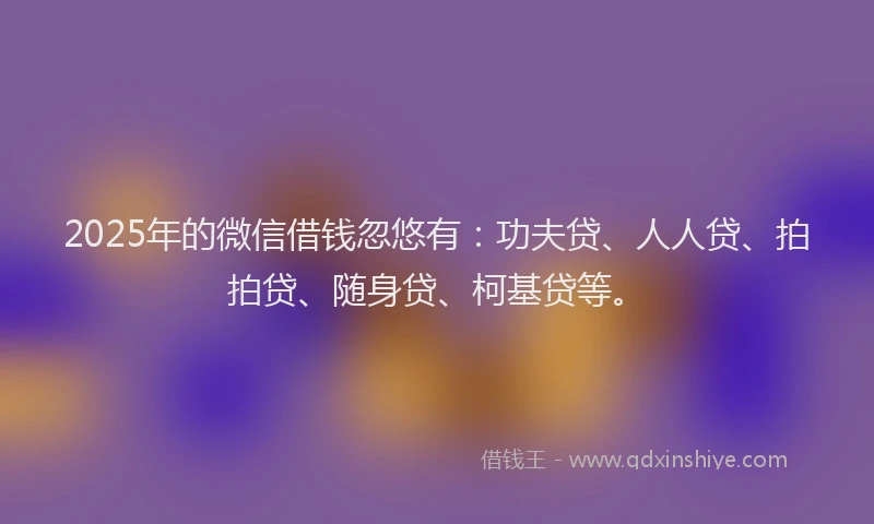 2025年的微信借钱忽悠有：功夫贷、人人贷、拍拍贷、随身贷、柯基贷等。