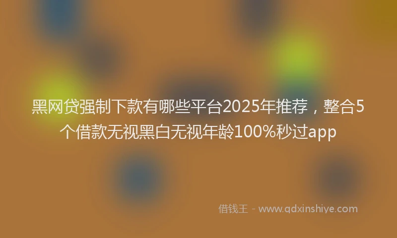 黑网贷强制下款有哪些平台2025年推荐，整合5个借款无视黑白无视年龄100%秒过app