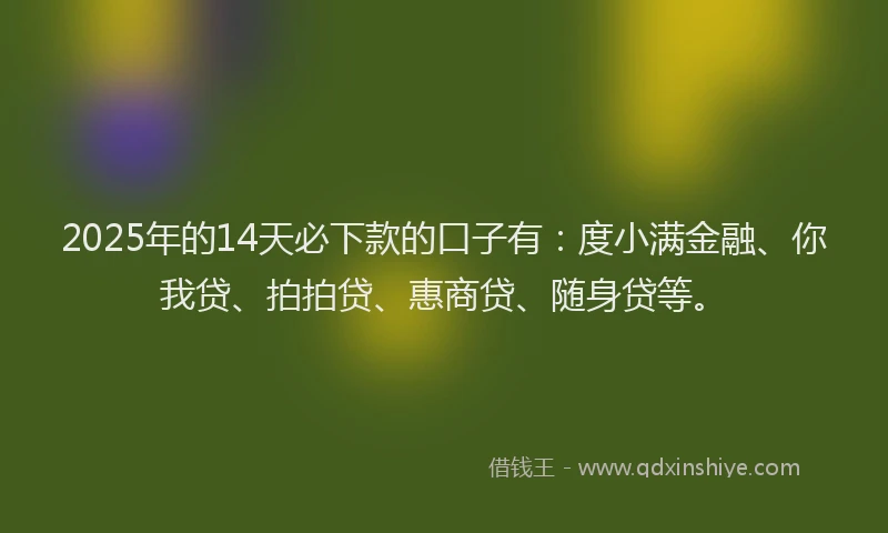 2025年的14天必下款的口子有：度小满金融、你我贷、拍拍贷、惠商贷、随身贷等。