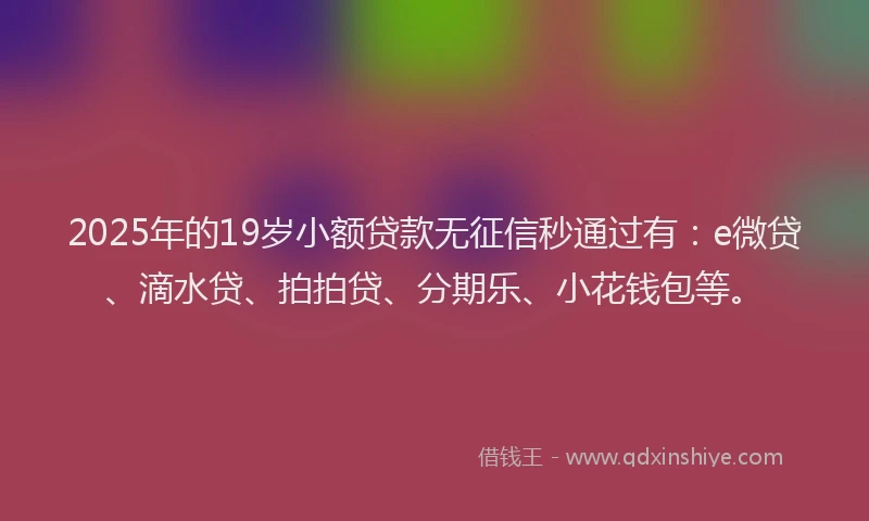 2025年的19岁小额贷款无征信秒通过有：e微贷、滴水贷、拍拍贷、分期乐、小花钱包等。