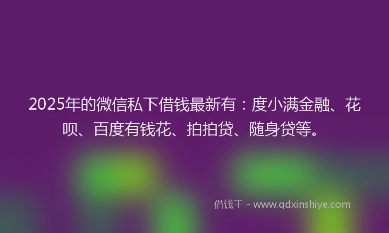 2025年的微信私下借钱最新有：度小满金融、花呗、百度有钱花、拍拍贷、随身贷等。