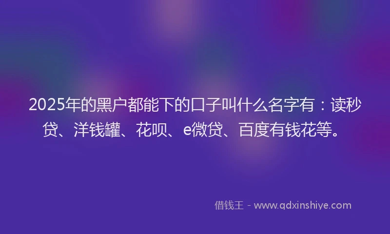 2025年的黑户都能下的口子叫什么名字有：读秒贷、洋钱罐、花呗、e微贷、百度有钱花等。