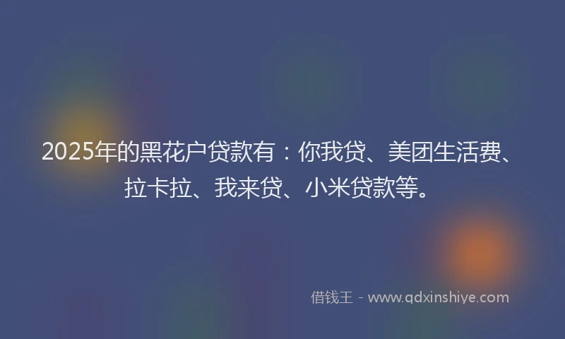 2025年的黑花户贷款有：你我贷、美团生活费、拉卡拉、我来贷、小米贷款等。