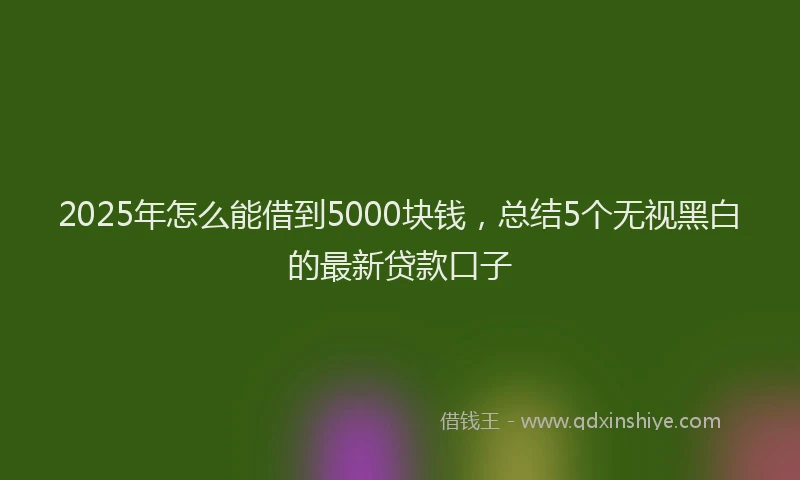 2025年怎么能借到5000块钱，总结5个无视黑白的最新贷款口子