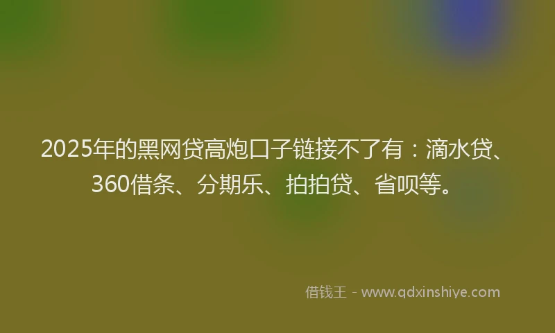 2025年的黑网贷高炮口子链接不了有：滴水贷、360借条、分期乐、拍拍贷、省呗等。