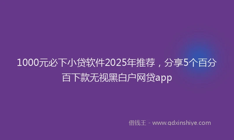 1000元必下小贷软件2025年推荐，分享5个百分百下款无视黑白户网贷app