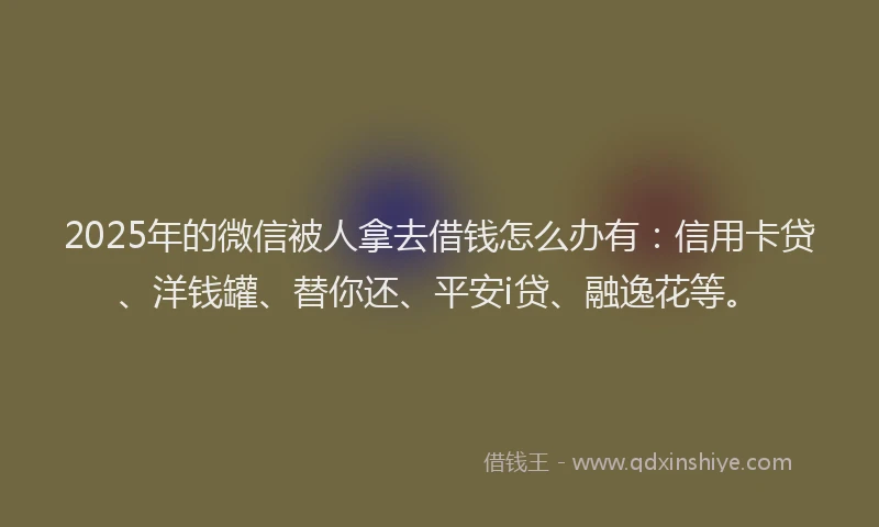 2025年的微信被人拿去借钱怎么办有：信用卡贷、洋钱罐、替你还、平安i贷、融逸花等。