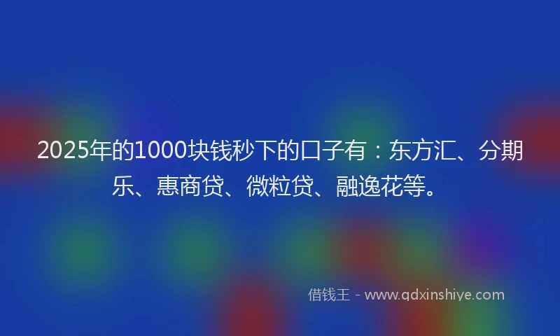 2025年的1000块钱秒下的口子有：东方汇、分期乐、惠商贷、微粒贷、融逸花等。