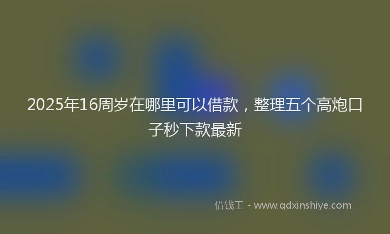 2025年16周岁在哪里可以借款，整理五个高炮口子秒下款最新