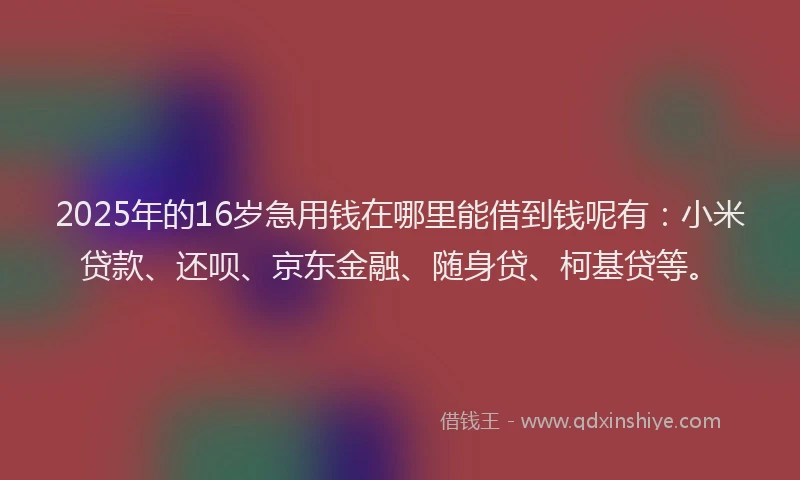 2025年的16岁急用钱在哪里能借到钱呢有：小米贷款、还呗、京东金融、随身贷、柯基贷等。
