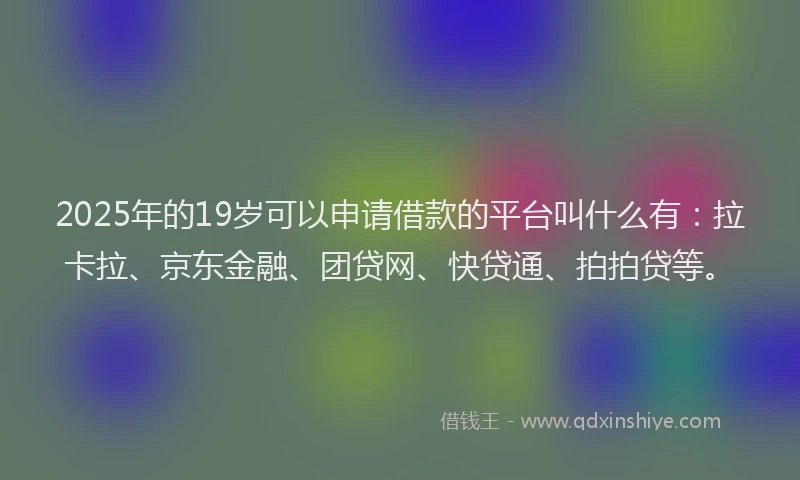 2025年的19岁可以申请借款的平台叫什么有：拉卡拉、京东金融、团贷网、快贷通、拍拍贷等。