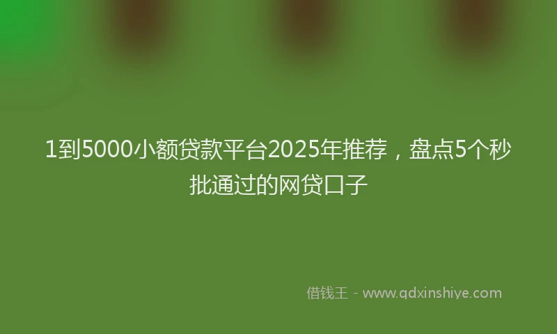 1到5000小额贷款平台2025年推荐，盘点5个秒批通过的网贷口子