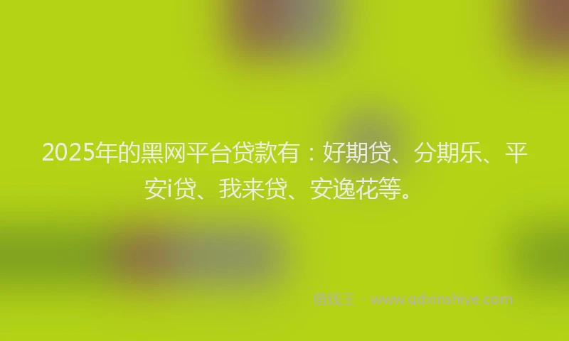 2025年的黑网平台贷款有：好期贷、分期乐、平安i贷、我来贷、安逸花等。