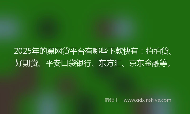 2025年的黑网贷平台有哪些下款快有：拍拍贷、好期贷、平安口袋银行、东方汇、京东金融等。