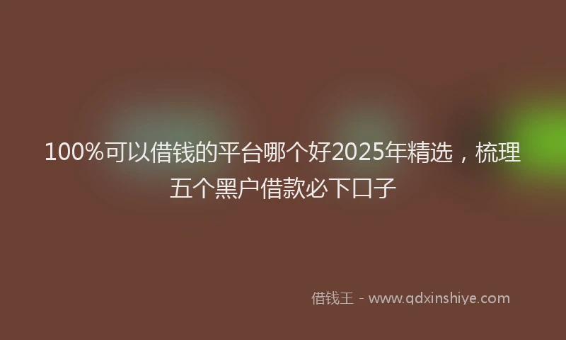 100%可以借钱的平台哪个好2025年精选，梳理五个黑户借款必下口子